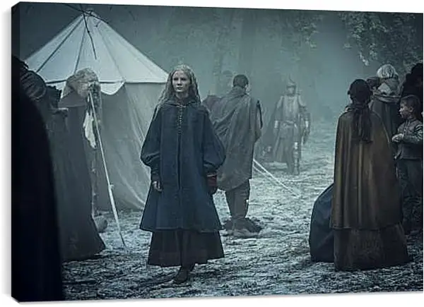 Постер на подрамнике - Ведьмак. The Witcher