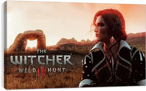 Постер на подрамнике - The Witcher (Ведьмак), Трисс Меригольд из Марибора