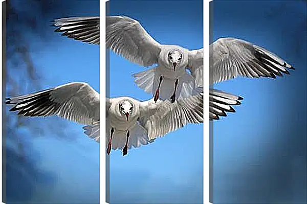 Модульная картина - Чайки