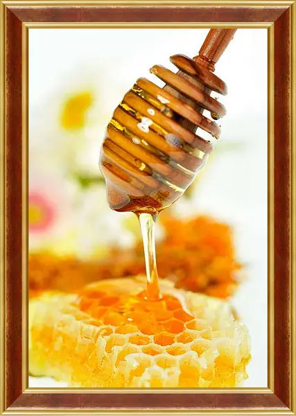 Картина в раме - Медовые соты. Сладкое угощение.