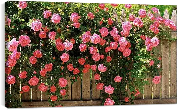 Постер на подрамнике - Весна