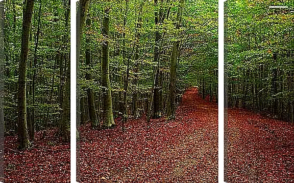 Модульная картина - Осень