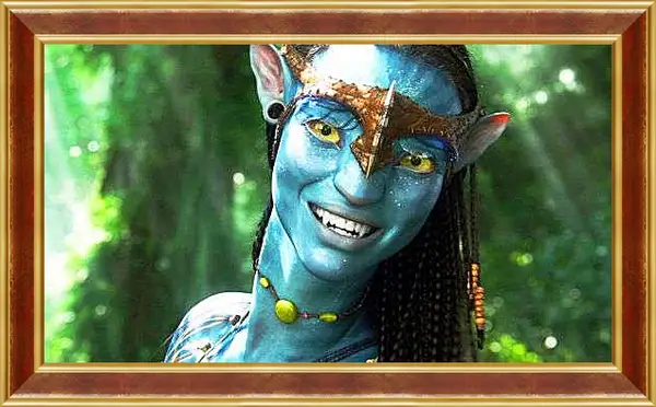 Картина в раме - Аватар. Avatar