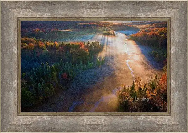 Картина в раме - Осень