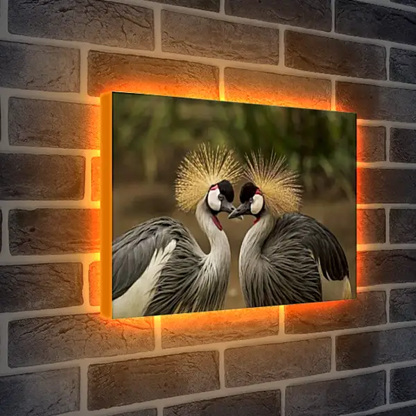 Лайтбокс световая панель - Птицы краны