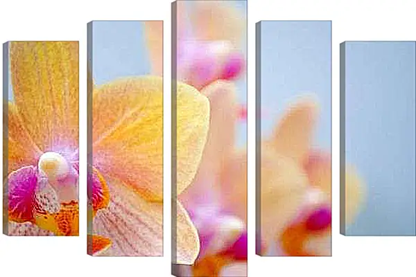 Модульная картина - Желтая орхидея