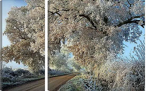 Модульная картина - Зима