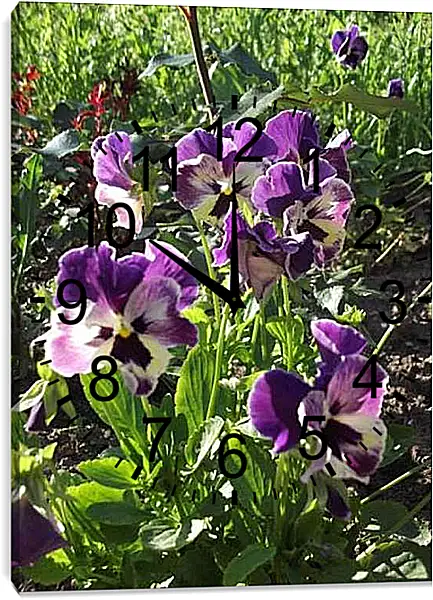 Часы картина - Анютины глазки