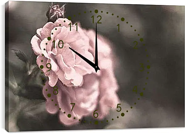 Часы картина - Нежно-розовая роза
