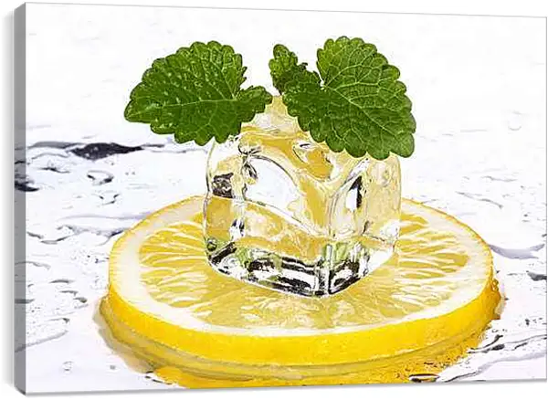 Постер на подрамнике - Лед на лимоне. Свежесть лета.