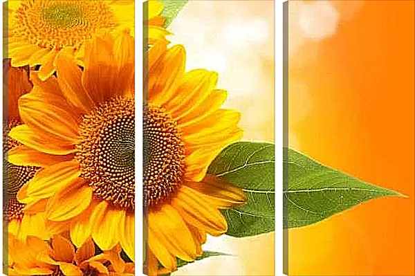 Модульная картина - Подсолнух