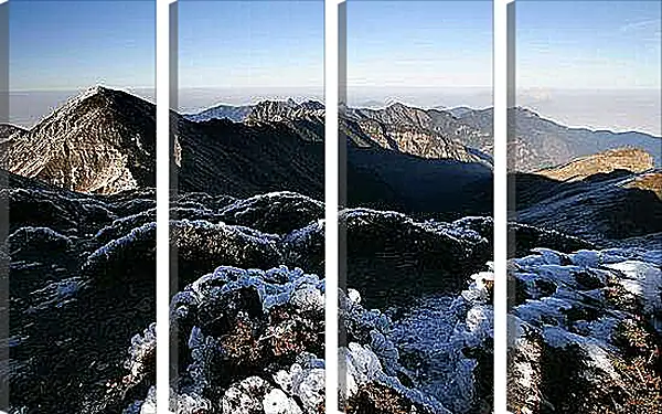 Модульная картина - Зима