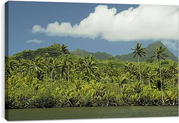 Постер на подрамнике - Лето