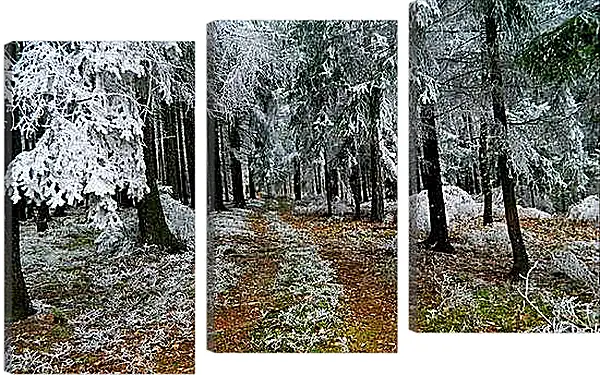 Модульная картина - Зима