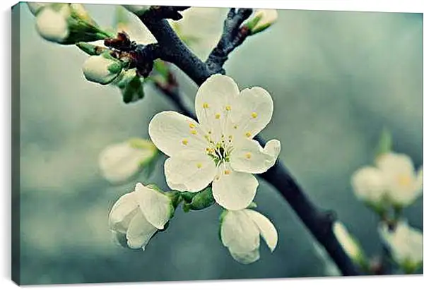 Постер на подрамнике - Весна