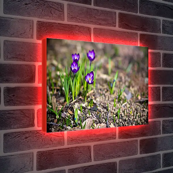 Лайтбокс световая панель - Весна