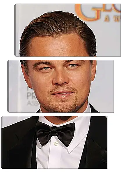 Модульная картина - Леонардо Ди Каприо. Leonardo DiCaprio
