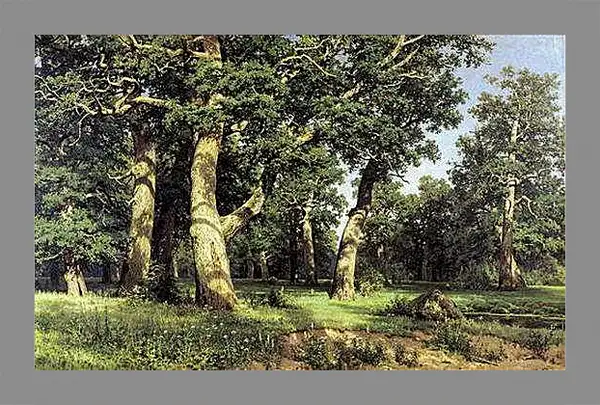 Картина в раме - Дубы. Иван Шишкин