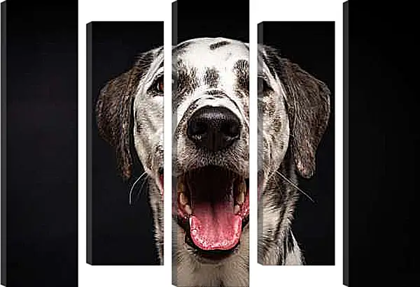 Модульная картина - Далматин