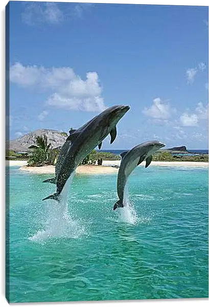 Постер на подрамнике - Дельфины