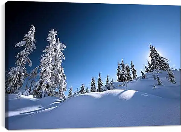 Постер на подрамнике - Белое безмолвие