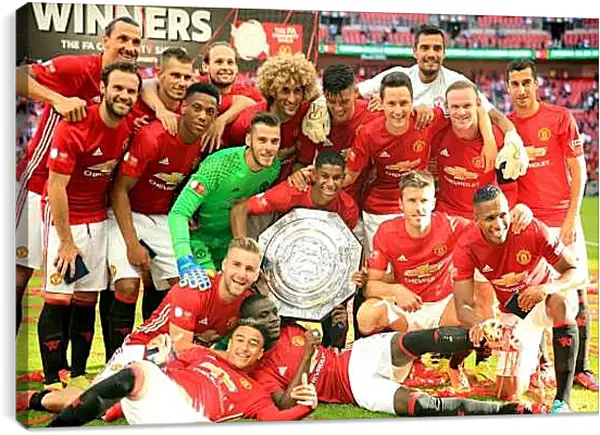 Постер на подрамнике - Победа в суперкубке Англии. ФК Манчестер Юнайтед
