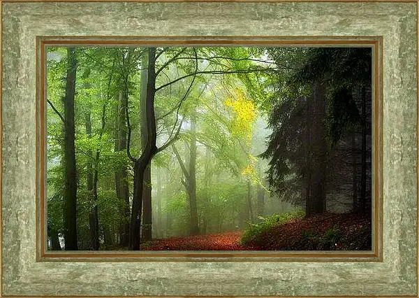 Картина в раме - Осень