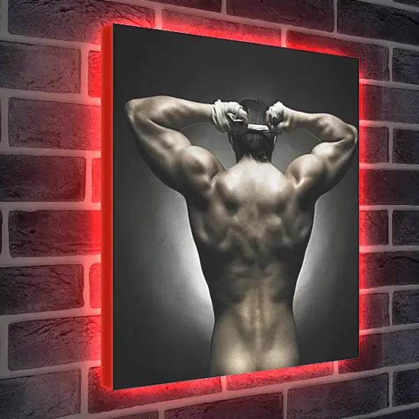 Лайтбокс световая панель - Спина атлета