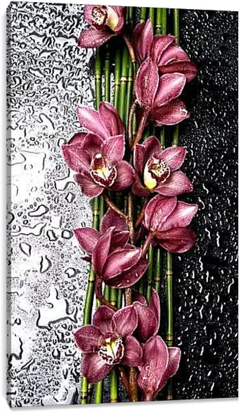 Постер на подрамнике - Орхидеи