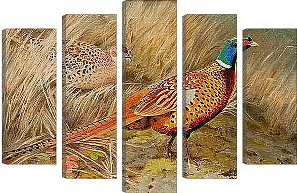 Модульная картина - Пара фазанов