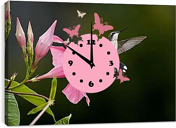 Часы картина - Колибри