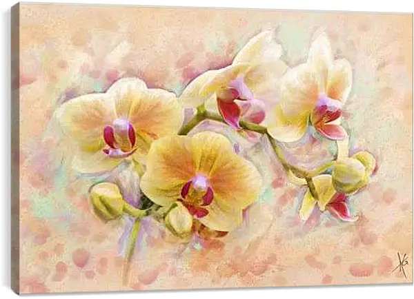 Постер на подрамнике - Орхидеи