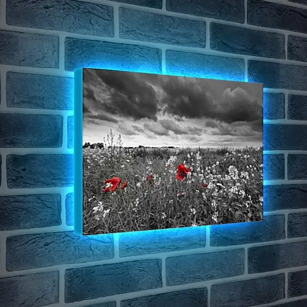 Лайтбокс световая панель - Маки на ветру
