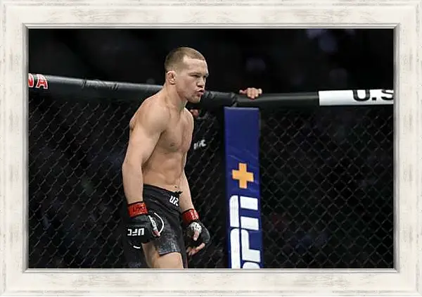 Картина в раме - UFC. MMA. Пётр Ян