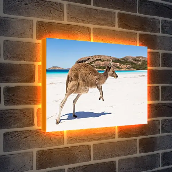 Лайтбокс световая панель - Кенгуру