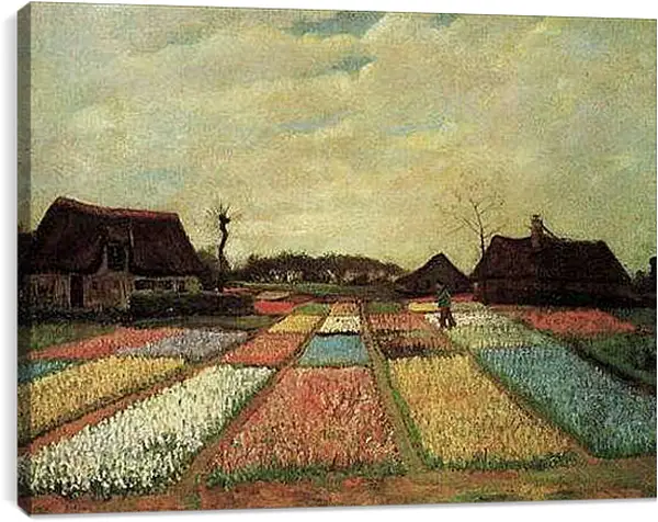 Постер на подрамнике - Bulb Fields. Винсент Ван Гог