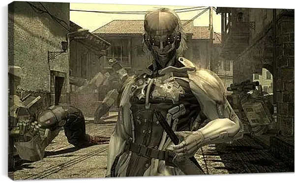 Постер на подрамнике - Metal Gear Rising: Revengeance
