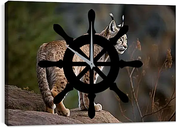 Часы картина - Рысь