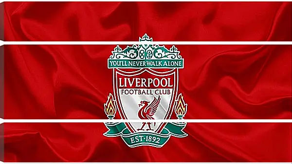 Модульная картина - Эмблема ФК Ливерпуль
