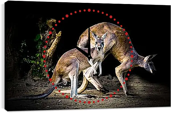 Часы картина - Кенгуру с детёнышем