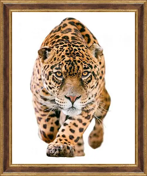 Картина в раме - Леопард