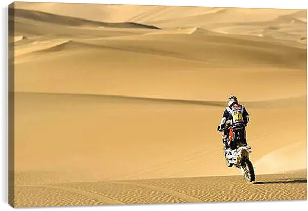 Постер на подрамнике - Спорт