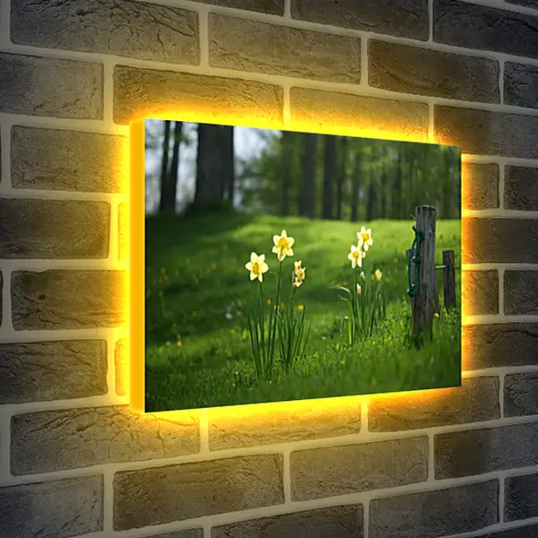 Лайтбокс световая панель - Весна