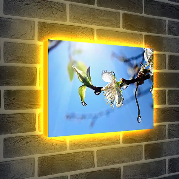 Лайтбокс световая панель - Весна