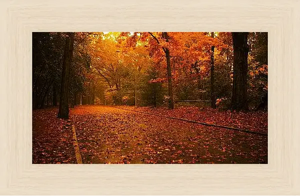 Картина в раме - Осень