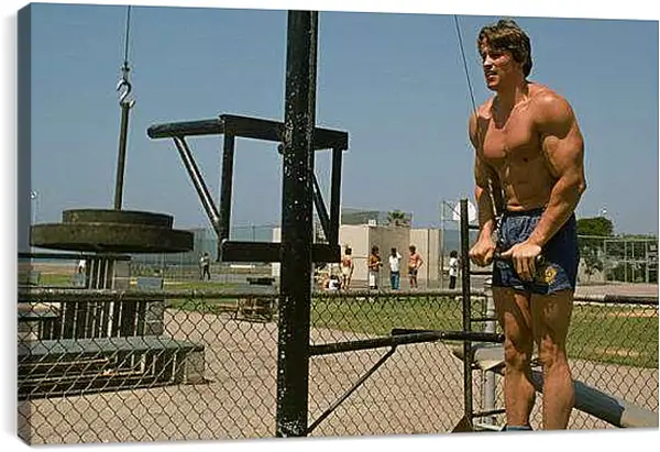 Постер на подрамнике - Шварценеггер Арнольд (Arnold Schwarzenegger)