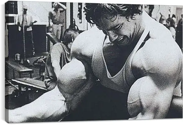 Постер на подрамнике - Арнольд Шварценеггер (Arnold Schwarzenegger)