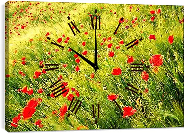 Часы картина - Маки в поле