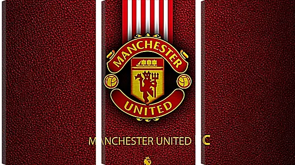 Модульная картина - Эмблема ФК Манчестер Юнайтед