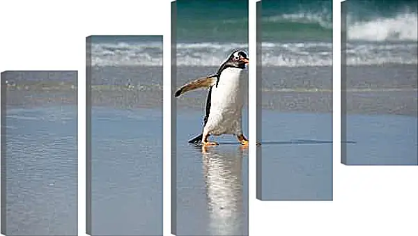Модульная картина - Идущий пингвин